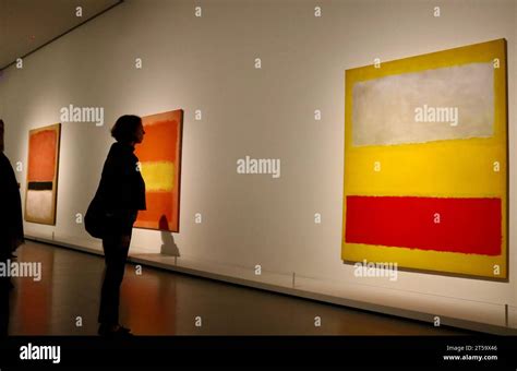 rothko exhibition paris 2023.